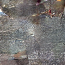 Output Image
